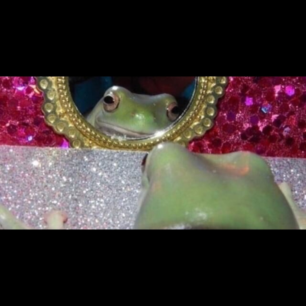 Meet your Posher, Gabby